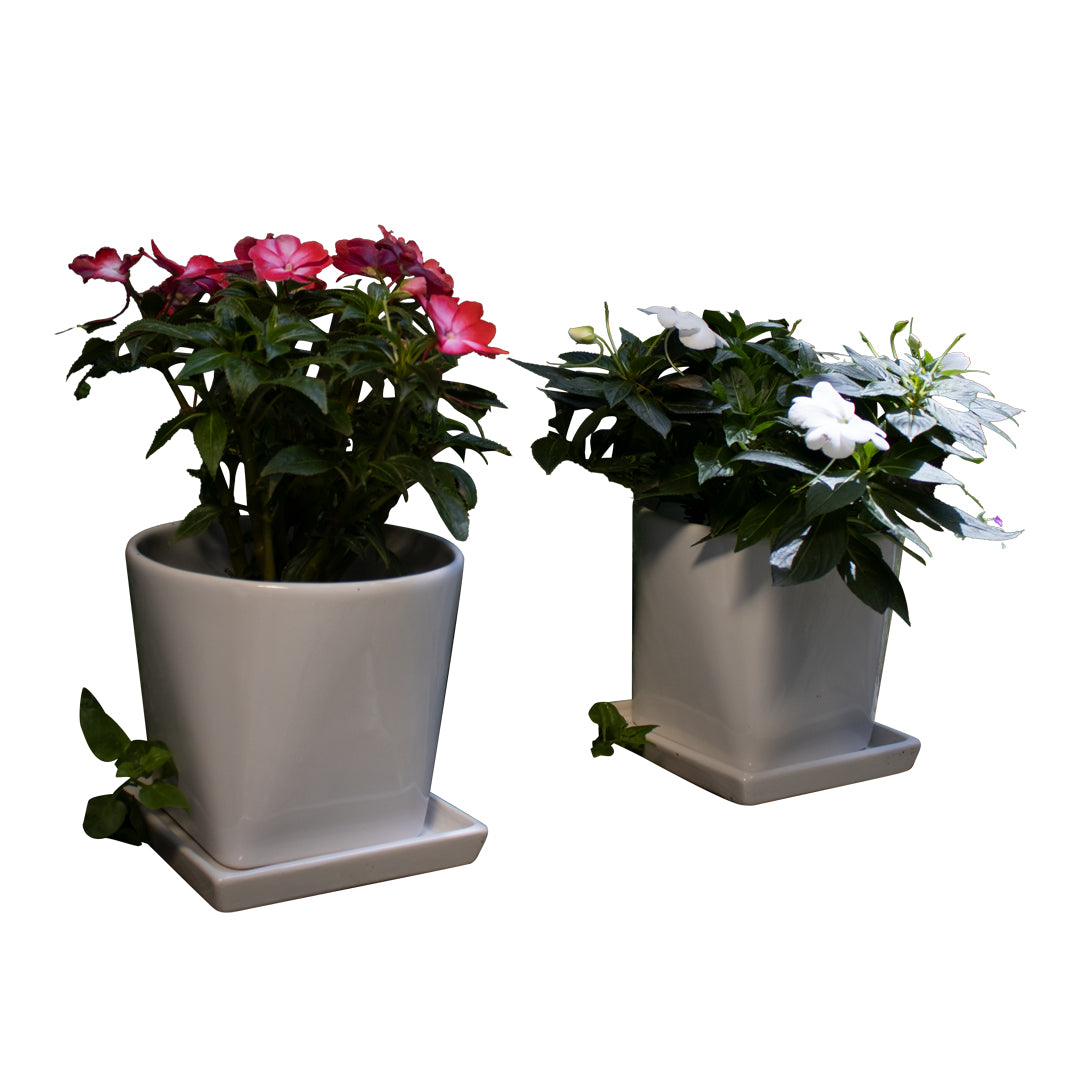 JUEGO ELEGANTE 4pzs.