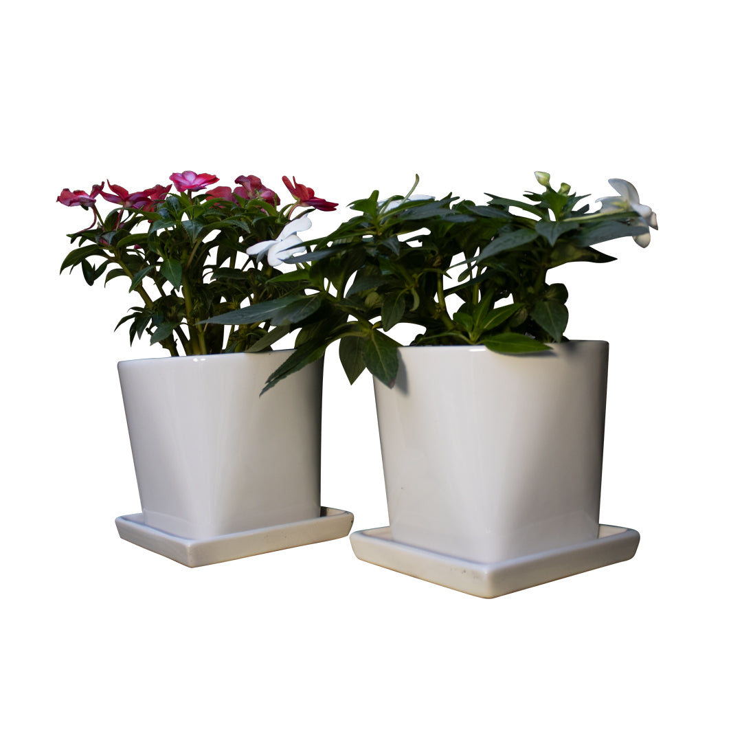 JUEGO ELEGANTE 4pzs.