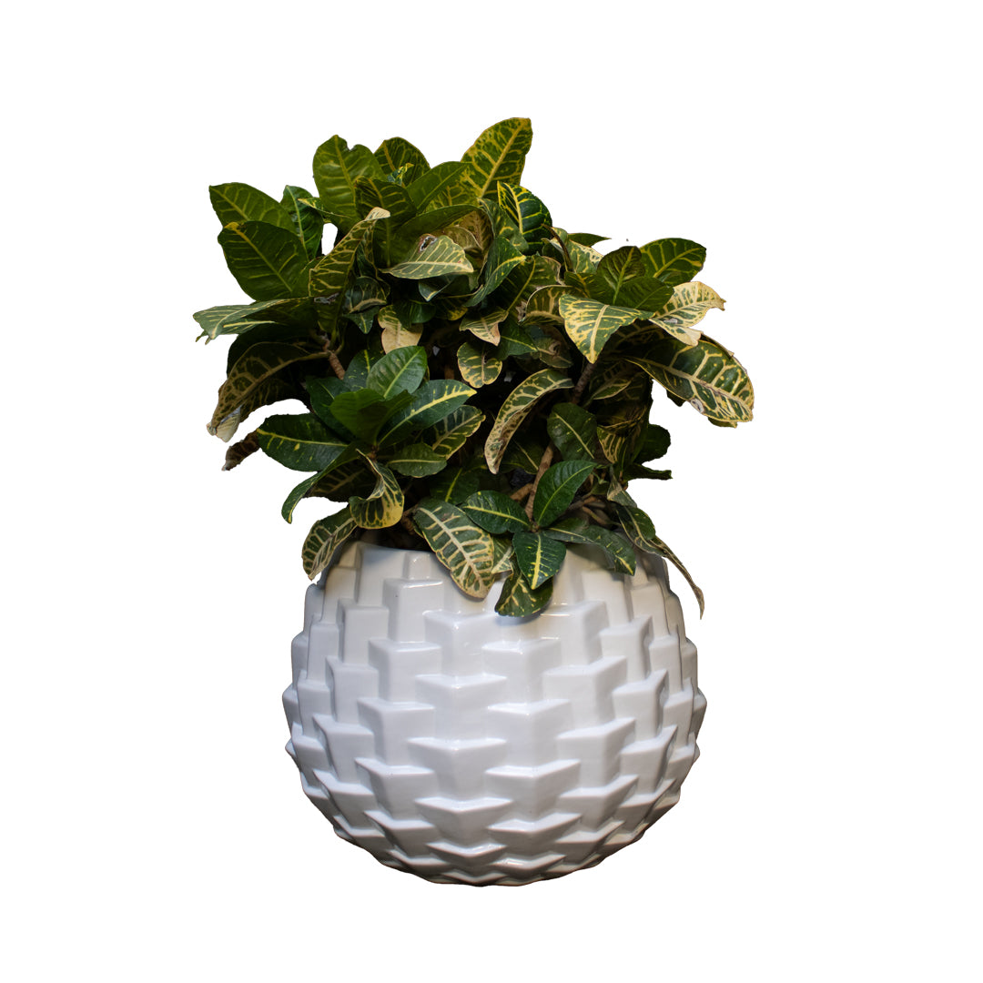 Maceta cubista jumbo