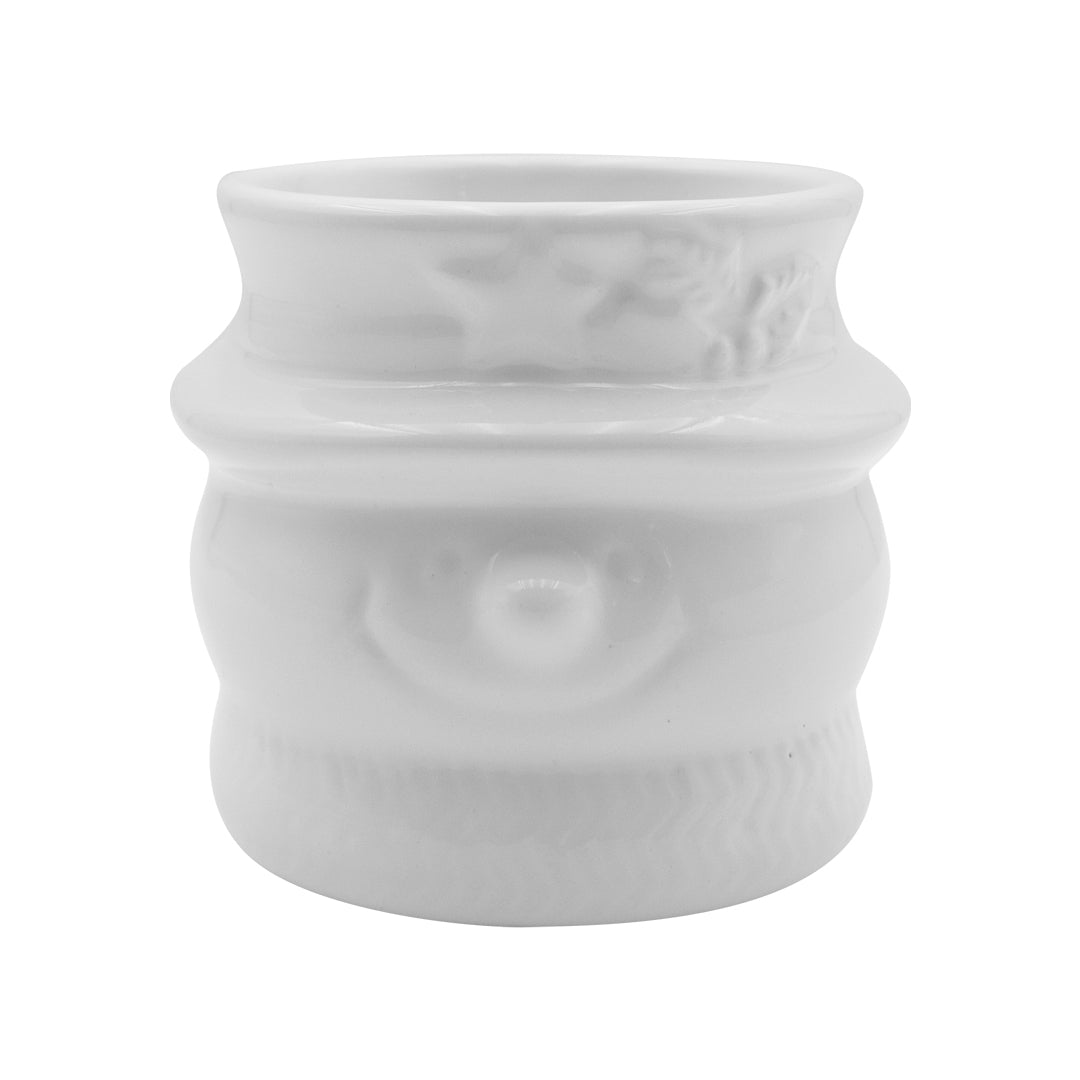 Suculenta muñeco de nieve