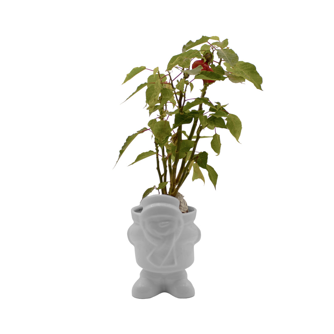 Muñeco de nieve con patas