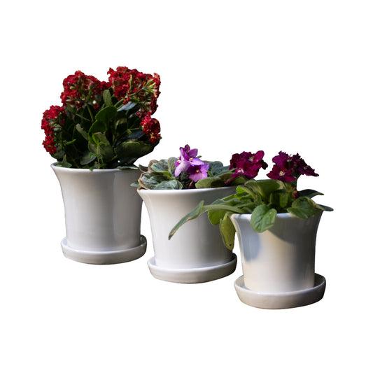 JUEGO CAMPANA CON PLATO 6pzs.
